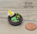 1:12 Dollhouse Miniature Frog and Lily in Bowl BD A1003