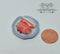 1:12 Dollhouse Miniature Meat Cuts on Plate BD K3002