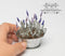 1:12 Dollhouse Miniature Lavender Kit  SMA FL001
