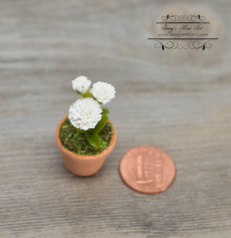 1:12 Dollhouse Miniature White Carnation Flowers in Clay Planter, HMN 762