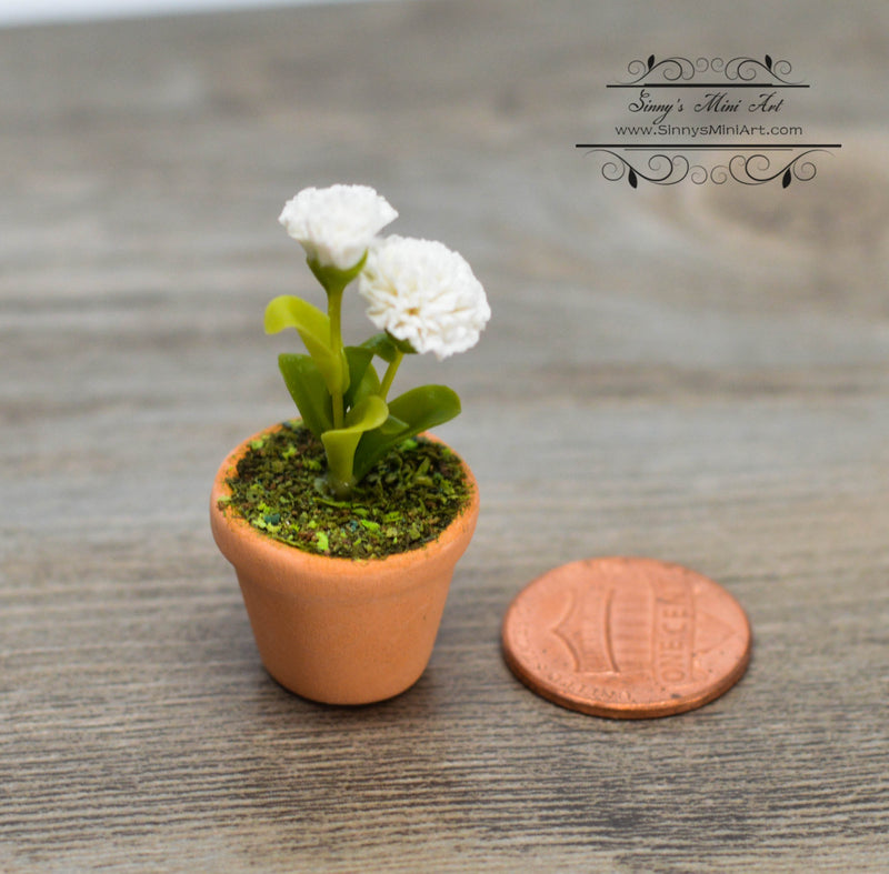 1:12 Dollhouse Miniature White Carnation Flowers in Clay Planter, HMN 762