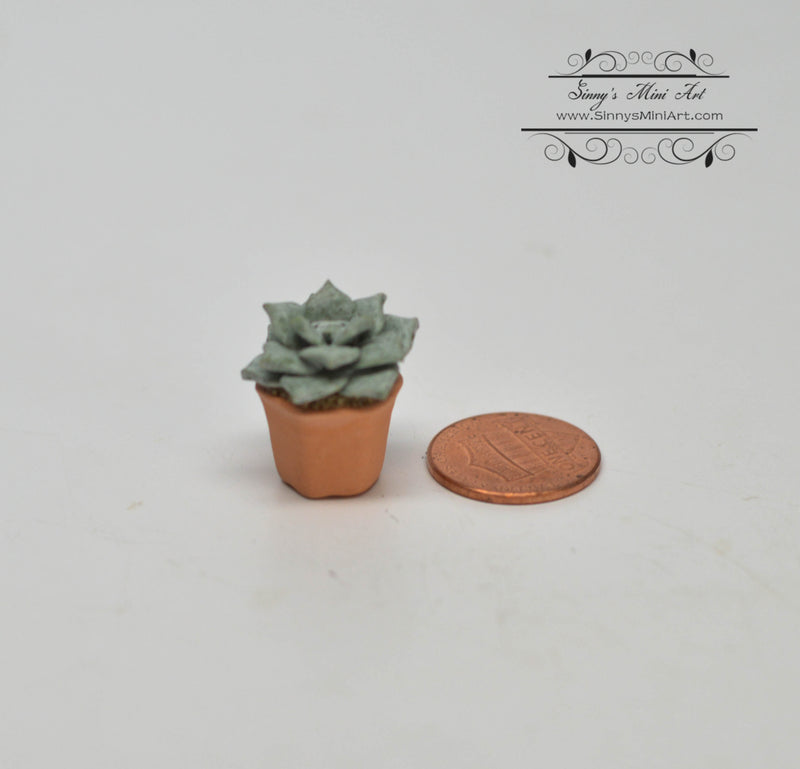 1:12 Dollhouse Miniature Green Succulent Plant in Clay Planter HMN 463