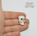 1: 12 Dollhouse Miniature Skull / Miniature Decor IM 2756