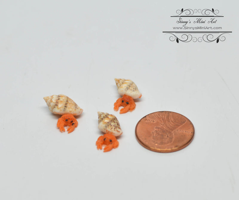 1:12 Dollhouse Miniature Hermit Crabs, Set of 3 BD MW006