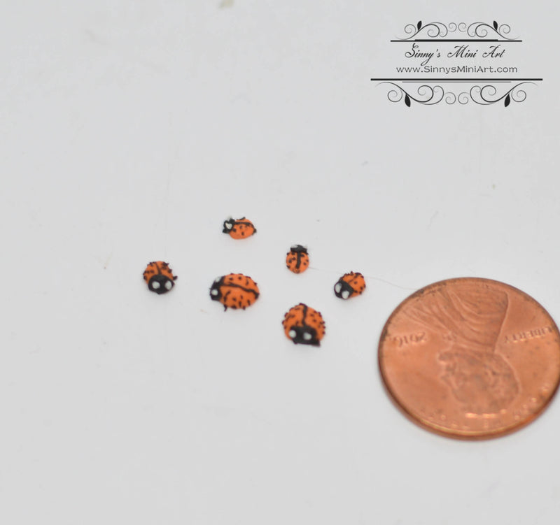 DIS 1:12 Dollhouse Miniature Ladybugs, Set of 6, Assorted Sizes BD MF020