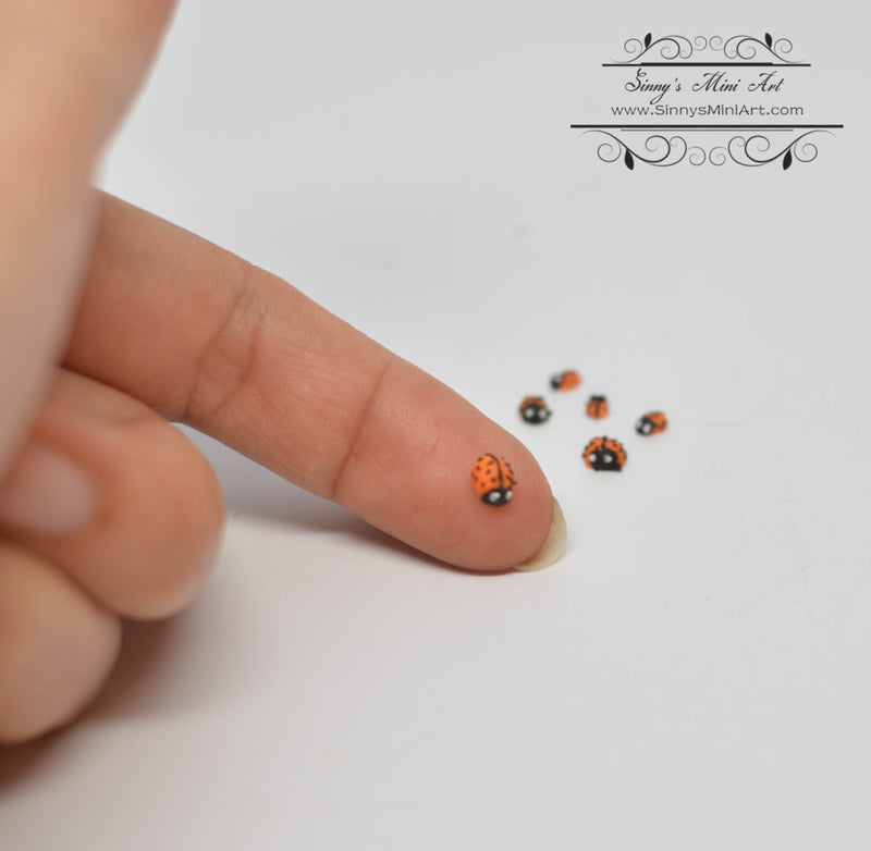 DIS 1:12 Dollhouse Miniature Ladybugs, Set of 6, Assorted Sizes BD MF020