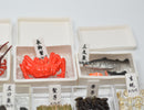 Clearance Sale: 1:12 Dollhouse Miniature Japanese Seafood Market E39