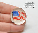 1:12 Dollhouse Miniature Waving Flag Plate BB CDDFLAG1