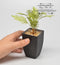 1:12 Dollhouse Miniature Big Planter/ Miniature Garden SMA VS001