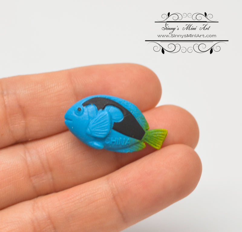Miniature Blue Tong fish/1 PC AW 10979