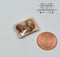 Discontinued 1:12 Dollhouse Miniature Mushrooms Wrapped Groceries BD P105