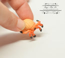 Miniature Hermit Crab 1 PC AW 11532