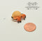 Miniature Hermit Crab 1 PC AW 11532