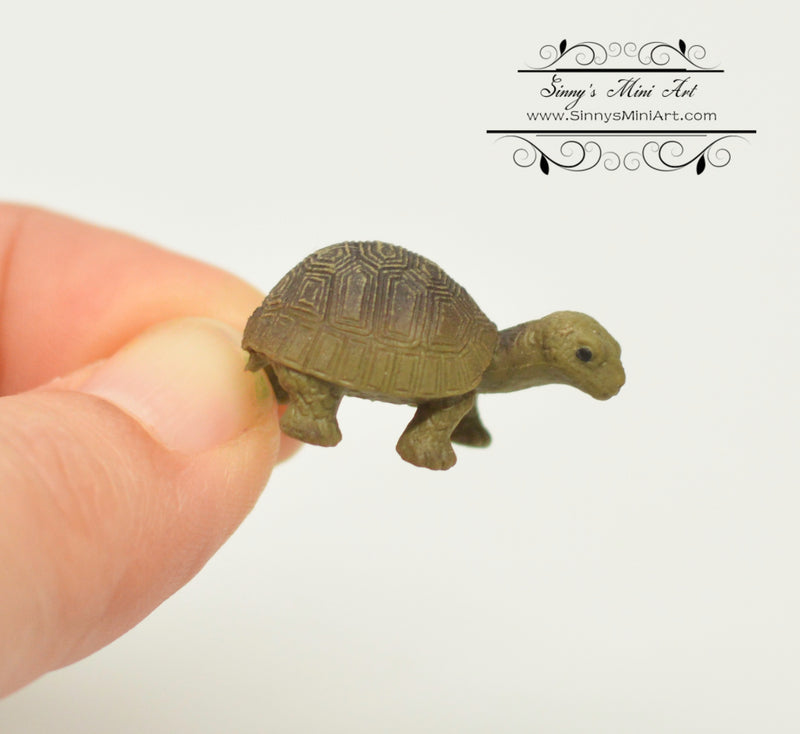 Miniature Tortoise Turtle 1 PC AW 11976