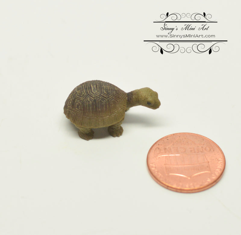 Miniature Tortoise Turtle 1 PC AW 11976