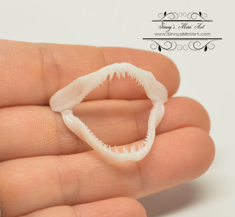 1:12 Dollhouse Miniature Shark Teeth Unpainted SMA DC001