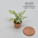 1:12 Dollhouse Miniature Potted House Plant / Miniature Garden BD A012-B