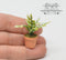 1:12 Dollhouse Miniature Potted House Plant / Miniature Garden BD A012-B
