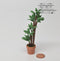 1:12 Dollhouse Miniature 3 Tier Plant in Clay Pot/ Miniature Garden I1