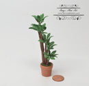 Brand Switched 1:12 Dollhouse Miniature 3 Tier Plant in Clay Pot/ Miniature Garden BD A1082