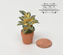 1:12 Dollhouse Miniature Indoor Plant in Clay Pot/ Miniature Garden BD A1033