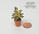 1:12 Dollhouse Miniature Indoor Plant in Clay Pot/ Miniature Garden BD A1033