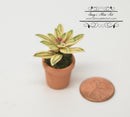 1:12 Dollhouse Miniature Rainbow Star in Clay Pot/ Miniature Garden BD A1030