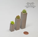 1:12 Dollhouse Miniature Succulents Plants Set in Planter AZ HW4047