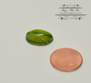 1:12 Watermelon Slide/ Miniature Fruits BD P054