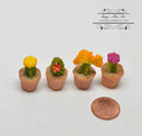 1:12 Dollhouse Miniature Cactus with Flowers in Clay Planters Set HMN 1373