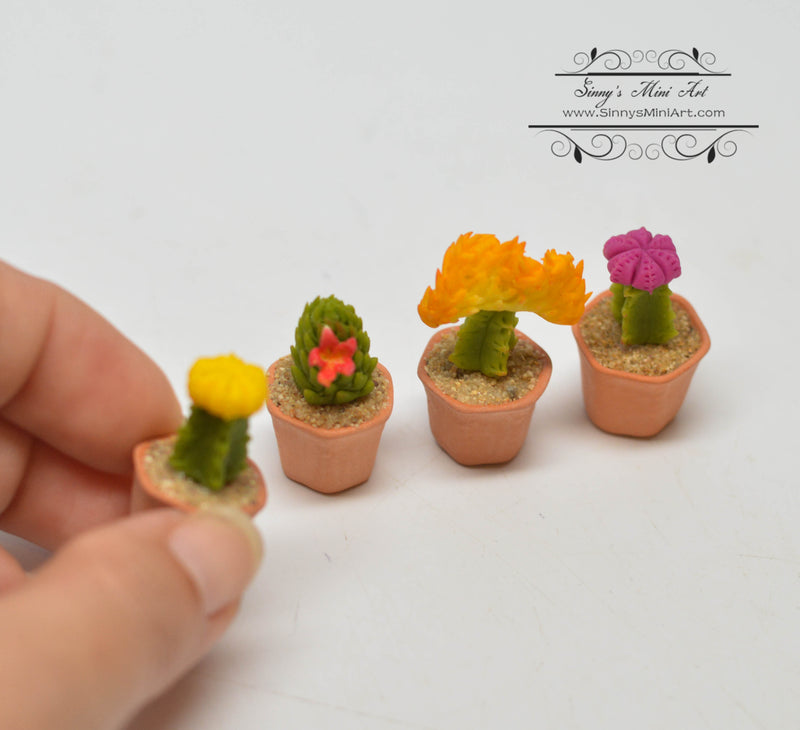 1:12 Dollhouse Miniature Cactus with Flowers in Clay Planters Set HMN 1373