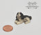 1:12 Dollhouse Miniature Welsh Springer Spaniel/ Pet AZ IM65089