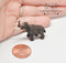 Miniature Woolly Mammoth 1 PC AW 11948