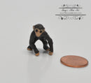 Miniature Chimpanzee/ Dollhouse Miniature Toy 1 PC AW 11800