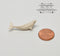 Miniature Beluga/ Dollhouse Miniature Toy 1 PC AW 11826