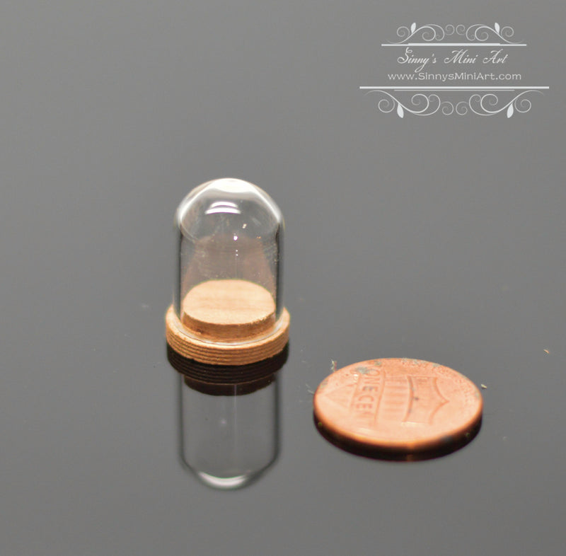 Miniature Glass Dome Display on Wood Base MMS 001