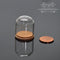 Miniature Glass Dome Display on Wood Base MMS 003