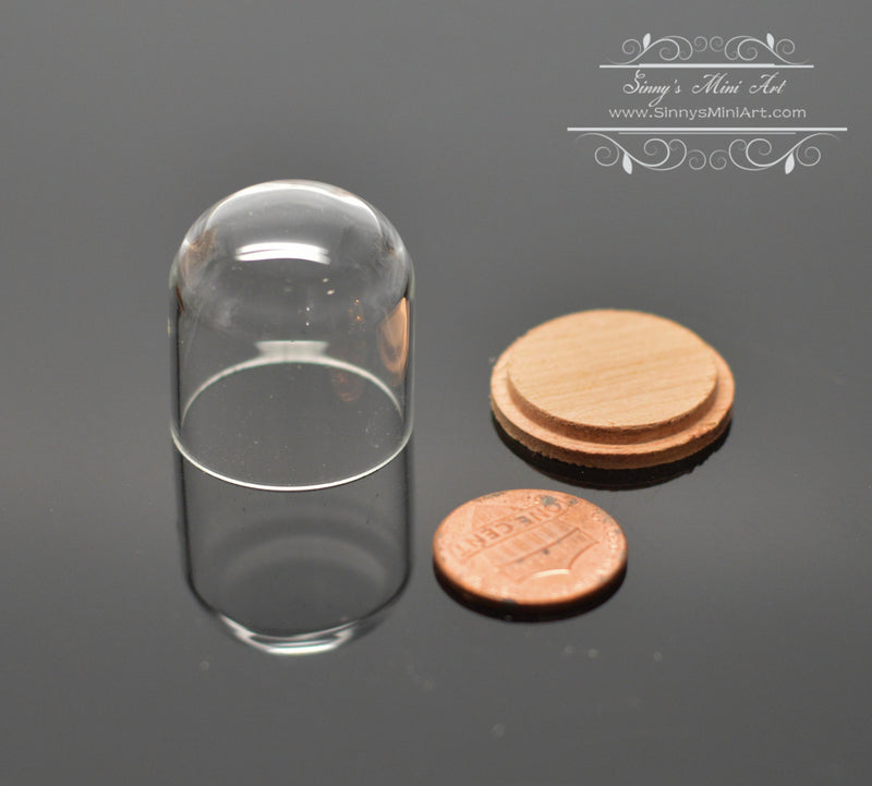 Miniature Glass Dome Display on Wood Base MMS 003