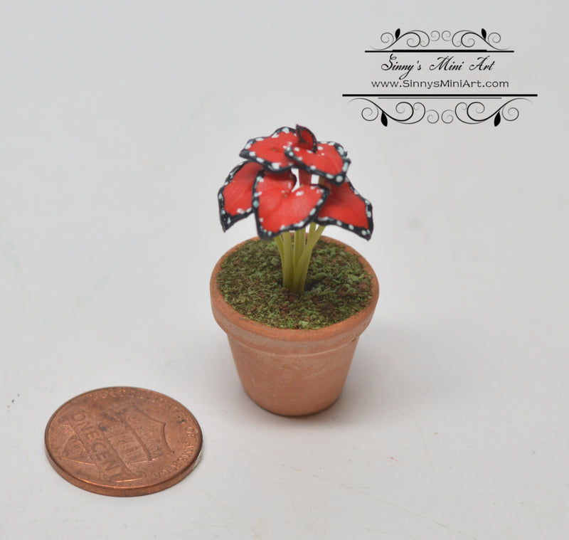 1:12 Dollhouse Miniature Caladium in Pot BD A1205