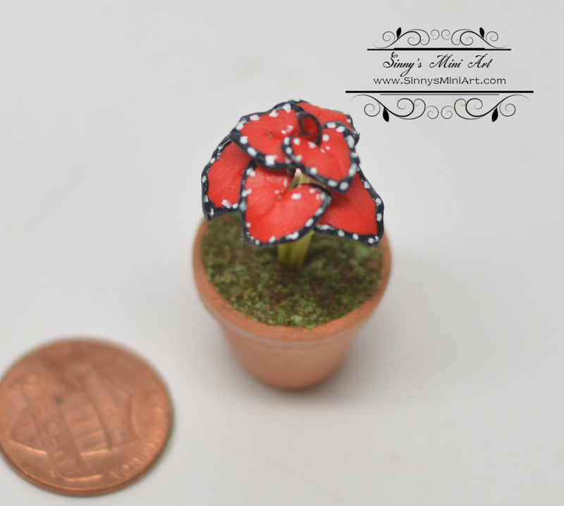 1:12 Dollhouse Miniature Caladium in Pot BD A1205