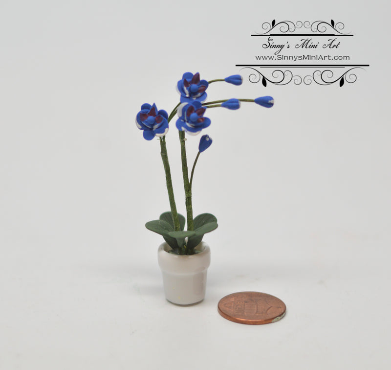 1:12 Dollhouse Miniature Midnight Blue Orchid/ Flower BD A1181