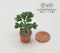 1:12 Dollhouse Miniature Jade Plant in Clay Pot Mini Gardening BD A1006