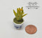 1:12 Dollhouse Miniature Pineapple Plant Mini Gardening BD A017