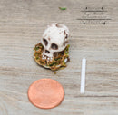 1: 12 Dollhouse Miniature Skull Candle AZ SH0040