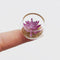 1:12 Dollhouse Miniature Succulents in Glass Planter B28