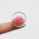 1:12 Dollhouse Miniature Succulents in Glass Planter B28
