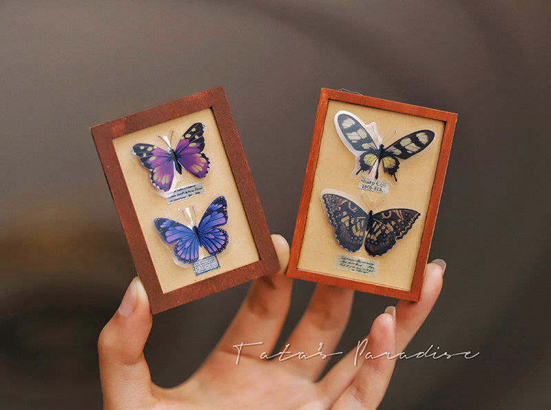 1:6 Dollhouse Miniature Butterfly in Frame / Miniature Photo B59