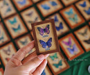 1:6 Dollhouse Miniature Butterfly in Frame / Miniature Photo B59