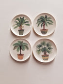 1:12 Dollhouse Miniature Palm Tree Dishes Set BB CDD321