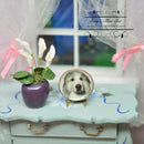 1:12 Dollhouse Miniature Dog Plate/ Miniature Decorative Plate BB CDD501-2